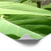 バタフライライラック ポスター (角)