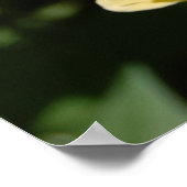 バタフライラブ ポスター (角)