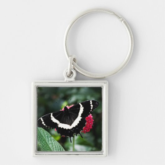 バタフライロリポップキーチェーン キーホルダー (正面)