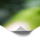 バタフライロリポッププリント ポスター (角)