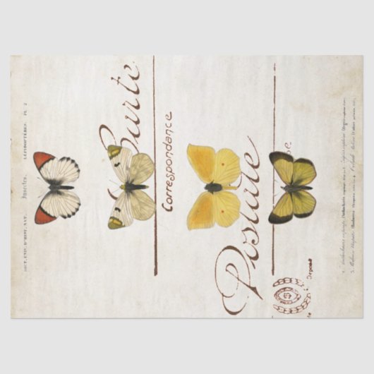 バタフライヴィンテージフランスのカルテアフターデクページ 薄葉紙 (正面)