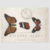 バタフライヴィンテージフランスのカルテアフターデクページ 薄葉紙 (正面)