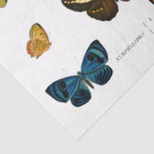 バタフライヴィンテージフランスのデコップフッシーカット 薄葉紙 (詳細)