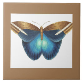 バタフライ付きセラミックタイル タイル