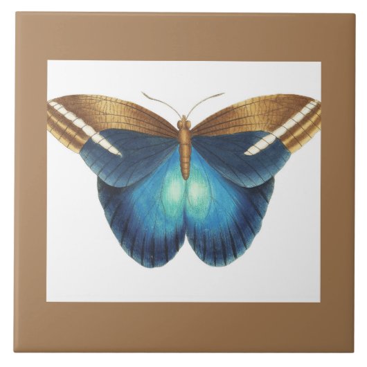 バタフライ付きセラミックタイル タイル (正面)
