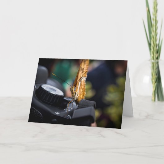 バタフライ写真空白の家 カード (正面)