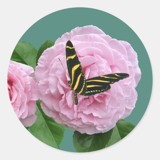 バタフライ及びバラシール ラウンドシール (正面)