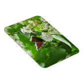 バタフライ及び春薄紫磁石 マグネット (右側)