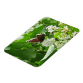 バタフライ及び春薄紫磁石 マグネット (左側)