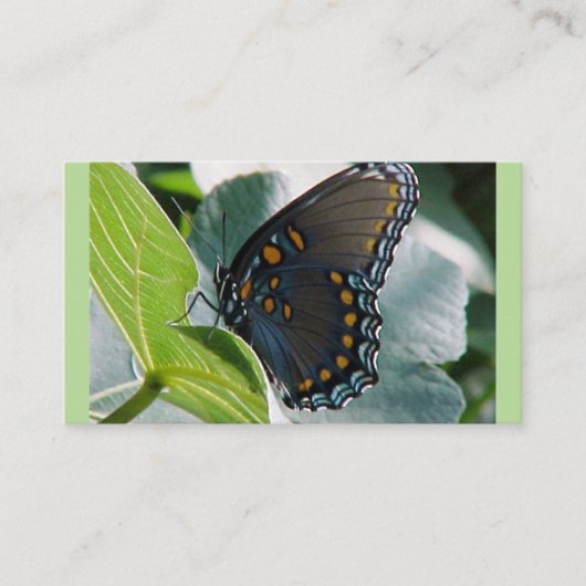 バタフライ名刺 名刺 (正面)