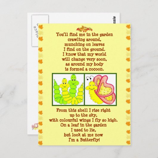 バタフライ型枠の芋虫の絵はがき ポストカード (正面/裏面)