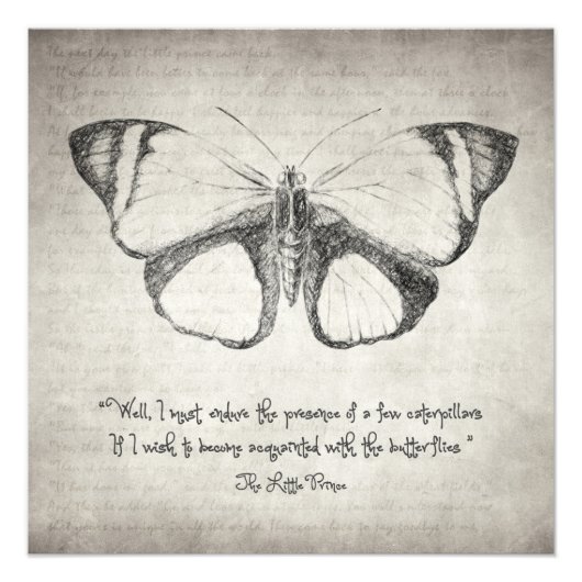 バタフライ引用文 フォトプリント            (正面)