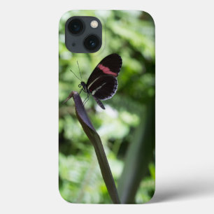 バタフライ撮影 iPhone 13ケース
