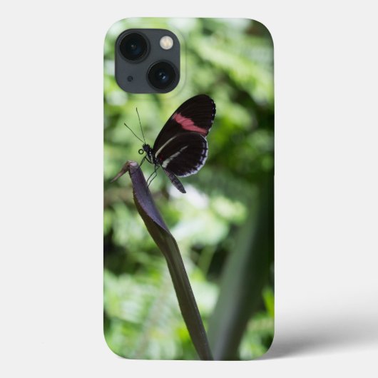 バタフライ撮影 Case-Mate iPhoneケース (裏面)