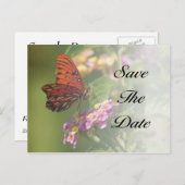 バタフライ日付はがきを保存 案内ポストカード (正面/裏面)
