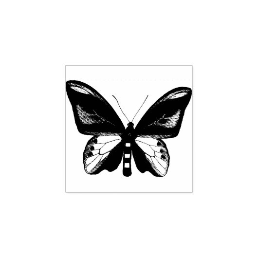 バタフライ昆虫虫オリジナルイラストレーションアート ラバースタンプ (インプリント)
