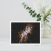 バタフライ星雲縁ど白 ポストカード (スタンド正面)