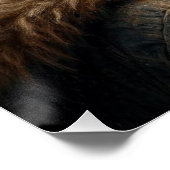 バタフライ最終飛行 ポスター (コーナー)