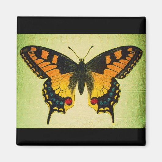 バタフライ磁石 マグネット (正面)