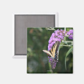 バタフライ磁石 マグネット (正面/裏面)