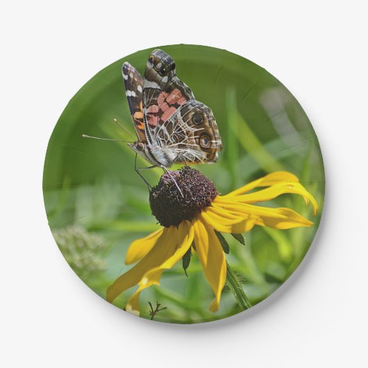 バタフライ紙プレート ペーパープレート (正面)