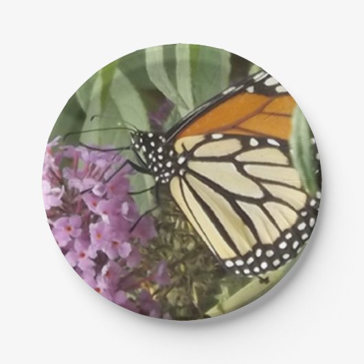 バタフライ紙プレート ペーパープレート (正面)