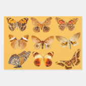 バタフライ素晴らしいヴィンテージ包装紙シート ラッピングペーパーシート (正面)