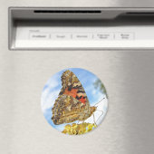 バタフライ絵を描ラ・レディ・マグネット マグネット (インサイチュ (食洗機))