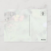 バタフライ美しい葉書 ポストカード (裏面)