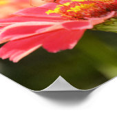 バタフライ聖なる書物、 経典ポスター2コリント ポスター (角)