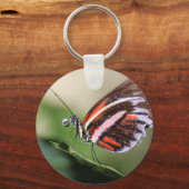 バタフライ識別キーチェーン キーホルダー (正面)