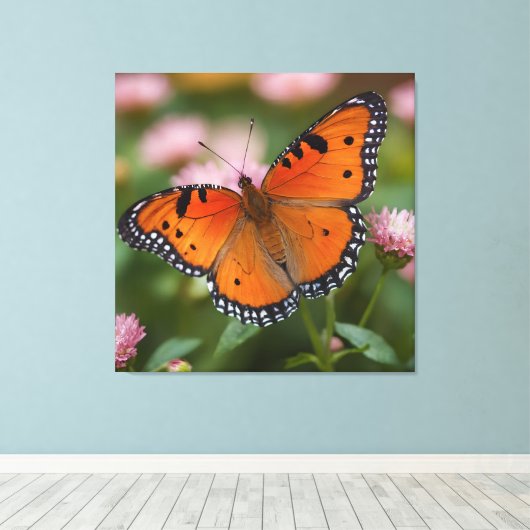 バタフライ開花 キャンバスプリント (インサイチュ (ウッドフロア))