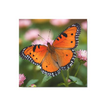 バタフライ開花