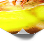 バタフライ顔クローズアッ動揺してプアート ポスター (角)