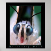 バタフライ顔 ポスター (正面)