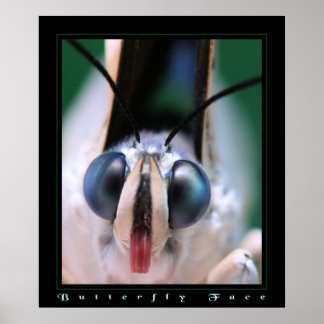 バタフライ顔 ポスター