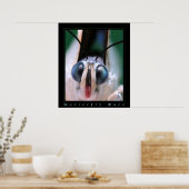 バタフライ顔 ポスター (キッチン)