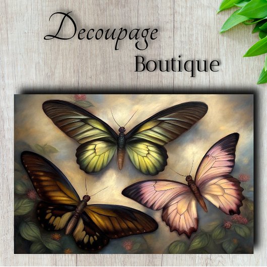 バタフライ鮮やかコレクションの分離 薄葉紙