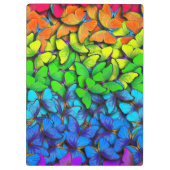 バタフライ鮮やかレインボーハイブのクリップボード | オフェンス クリップボード (裏面)