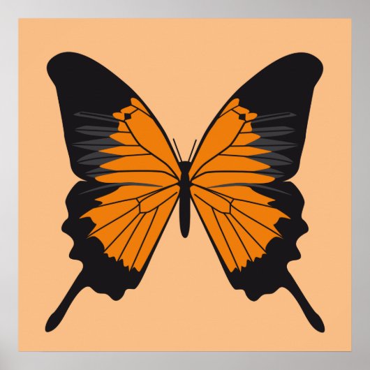 バタフライ1 ポスター (正面)