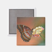 バタフライ2 マグネット (正面/裏面)