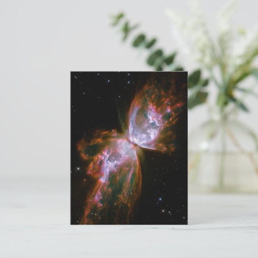 バタフライ/バグ星雲 ハッブル宇宙望遠鏡 ポストカード (スタンド正面)