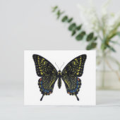 バタフライ・フィクションのアゲハチョウはがき ポストカード (スタンド正面)
