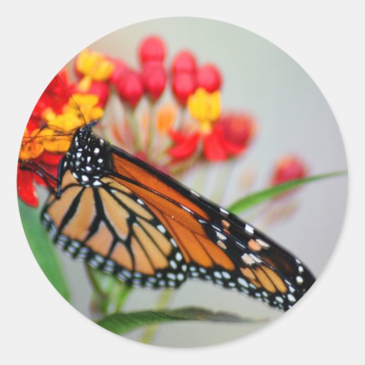 バタフライ&フラワースタンプ ラウンドシール (正面)