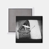 バタフライ マグネット (正面/裏面)