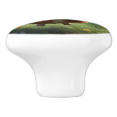 バタフライ・モルモット, セラミックノブ (側面)