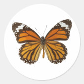 バタフライ（昆虫）オオカバマダラ、モナーク ラウンドシール (正面)