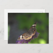 バタフライI ポストカード (正面/裏面)