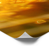 バタフ感じィーで晴れ晴れ時に姿を現す ポスター (角)