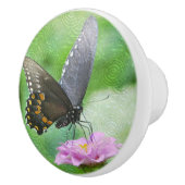 バタフ素晴らしライセラミックつまみ セラミックノブ (右)